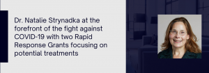 Dr. Natalie Strynadka at the forefront of the fight against COVID-19 with two Rapid Response Grants focusing on potential treatments