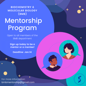 BMB Mentorship Pilot Program is launched!