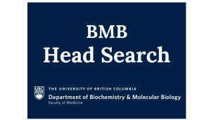 Candidate Presentation – BMB Head Search